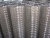 Import 2*2/4x4 Galvanized Welded Wire Mesh from China