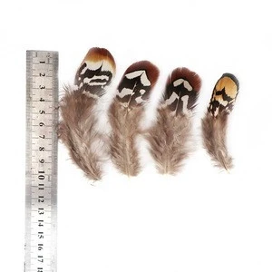 2.4-4 inch(6-10 cm)Wholesale High Quality Small Size Black And Brown Reeves Pheasant Feather