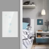 2.4GHz  Smart Light Switch  in-Wall  WIFI Light Switches  With Timer