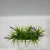 Import 25CM New Lavender potted plant from China