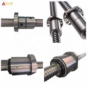 300-1000 mm customized length bearing linear guide way ball screw