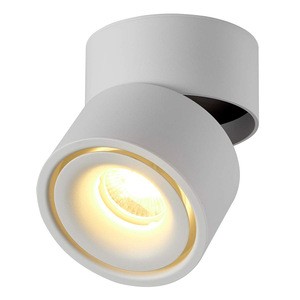 360 Degree Rotatable 7W 10W 12W 15W LED Ceiling Spot Light Surface Mounted Ceiling Downlight