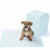 Import Amazon Hot Sale Super Absorbent 5-layer Pet Training Pad Pet Pee Pad  Disposable Pee Pad from China