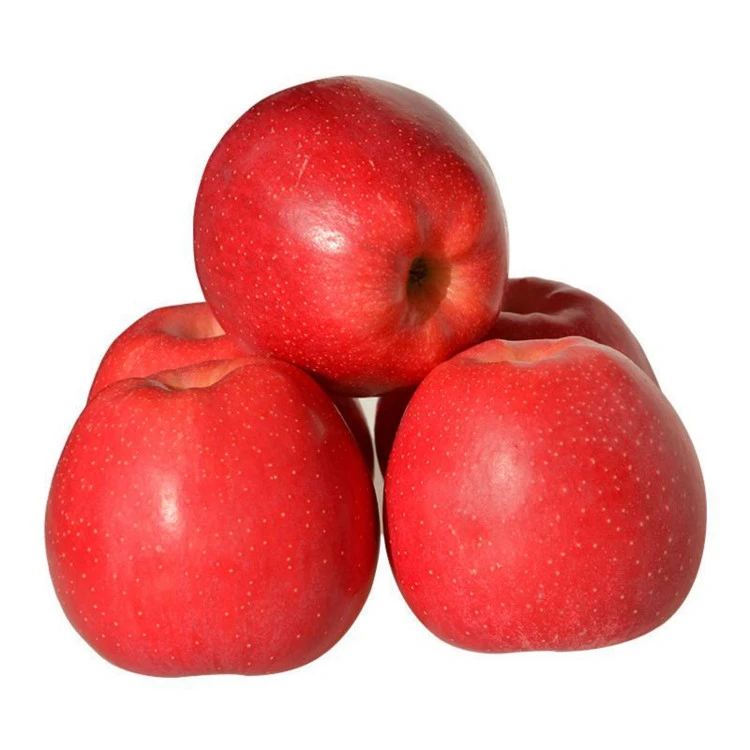 Apple red Fuji apple new crop wholesale