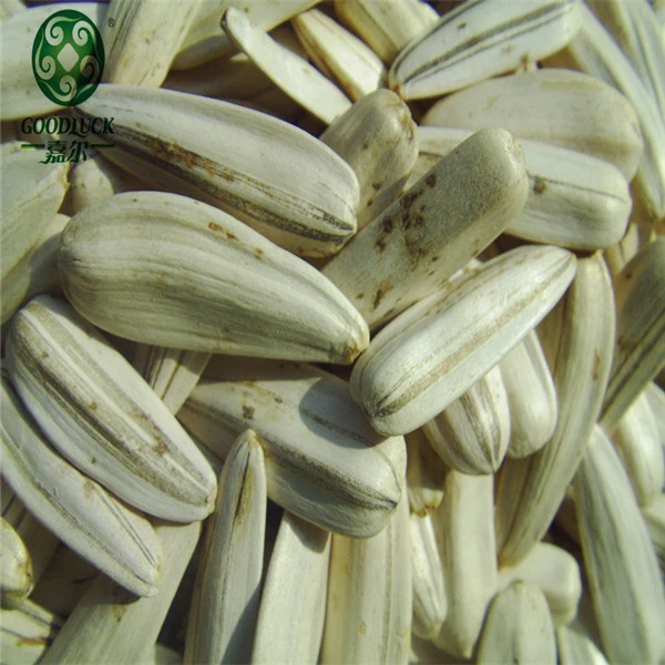 Argentina White Sun Flower Seeds with Cheap Price for Sale