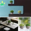 Artificial Round Grass Plants Set of 3 With Grey Pot, 9.5*13cm Small Indoor and Outdoor Fake Plants, Plastic Plants for House