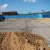Import asphalt bitumen coated fiberglass geogrid  for earthwork from China