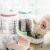 Automatic Feeding Food Water Dispenser Pet Basin Bowl Feeder for Dog Cat