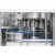 Import Automatic Pure Water Filling And Sealing Machine/Plastic Bottled Mineral Water Production Line/PET Water Bottling Project from China