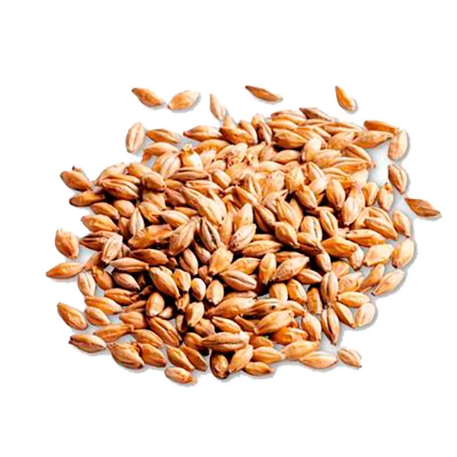 barley seeds for sale in gauteng