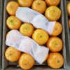 Best Quality Sweet Fresh Juicy Valencia Oranges Grade A - Wholesale/Bulk