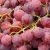 Import Best Sell Fresh Sweet Red Grapes from China