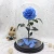 Import Best Selling Qualified Christmas Gift Preserved Flower Rose In Glass dried flower in wooden frame from China