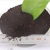Import black powder pure bat guano for organic fertilizer from China