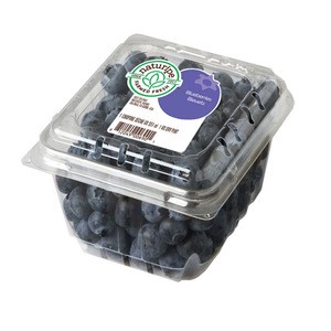 Blueberries Conventional (Pints) - New harvested