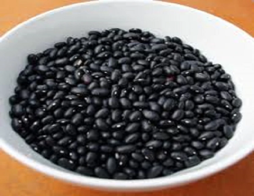 Bulk Common black kidney beans for sale