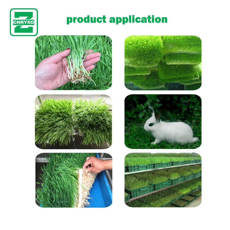 CE Certification Full automatic hydroponic fodder machine Hydroponic Seeds Germinate Machine