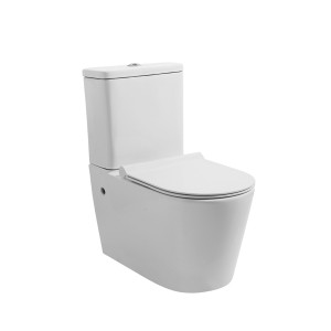 Ceramic Bathroom Toilet Sanitary Ware / American Style Standard Toilet / One Piece Toilet