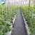Import Cheap agricultural glass materials multi-span greenhouse sale from China