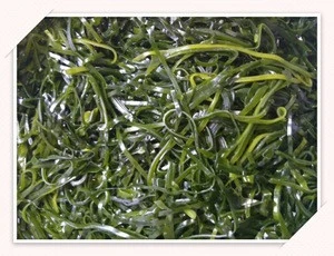 China factory machine cut dried seaweed laminaria kelp