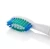 Import China Factory Wholesale Dental Care Compatible Toothbrush Heads from China