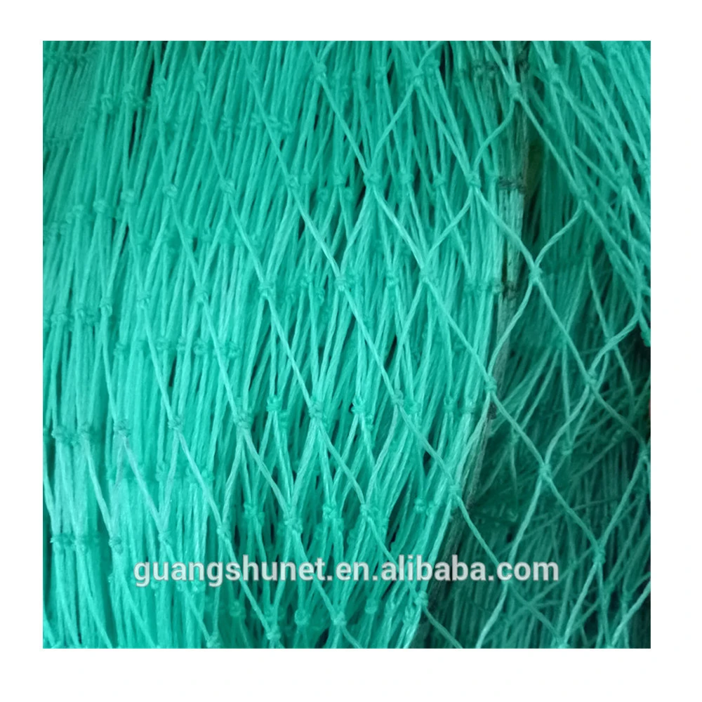China sullpier wild garden plastic nets poultry  fence green chicken net