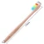 Import China Supplier Natural Adult Bamboo Toothbrush With Box from China
