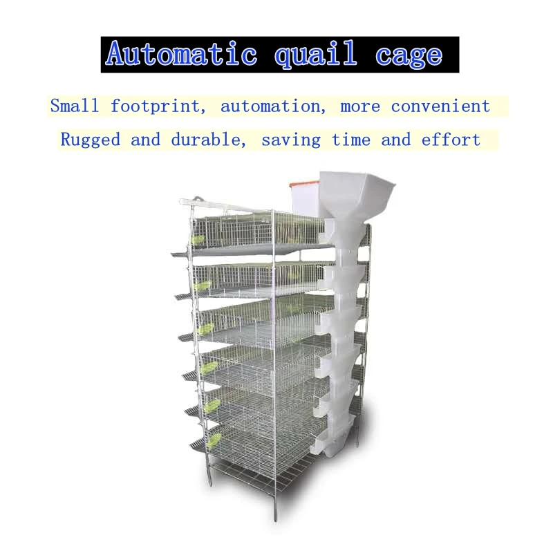 China Suppliers Automatic Drinker Automatic Feeder Layer Quail Cage for Quail Farming