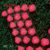 China suppliers Holiday light roses led light