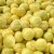 Import chinese pomelo fruit from China