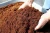 Import coco peat / coir pith products from Thailand