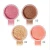 Import Coconut Buttermake up powderface nose shadow highlight Silhouette Hairline Repairing face powder makeup from China