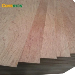 Comsmos 1220x2440mm bintangor commercial plywood for malaysia market