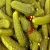 Import Cornichons / Pickled gherkin from  USA from China