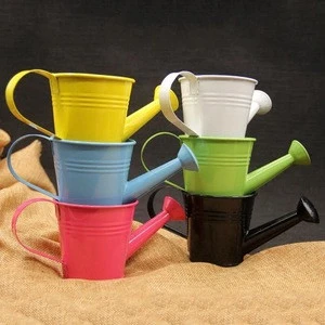 Customized Design Iron Material Brass Watering Can For Garden