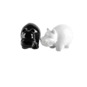 Cute Ceramic Hippo Salt and Pepper Shakers gift sets