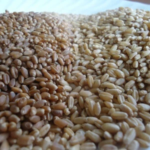 Daily Household Use Wheat Grain Product Wheat Flour