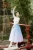Import Danyiballet Professional Women Girls Ballet Dance Performance Wear bule Long Tulle Skirts Training Wear from China