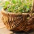 Import decorative hand-crafted wicker basket for sale from China