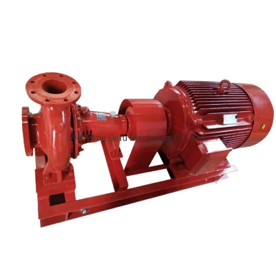 DIN Standard Single Stage Horizontal Centrifugal Water Pump with Electric Motor