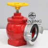 DN65 PN16 Indoor Fire Hydrant