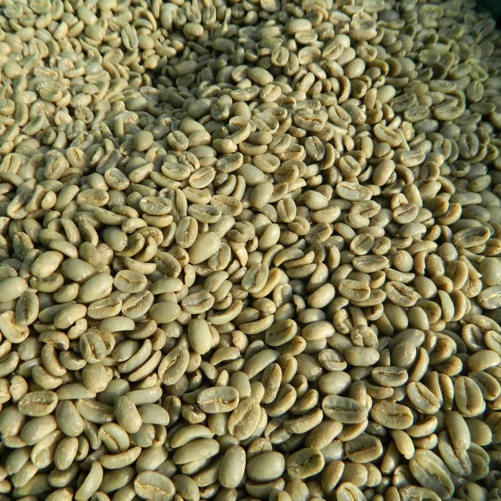 Dried Coffee Bean/ Cafe Bean/ Robusta &amp; Arabica