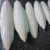 Import DRIED CUTTLEFISH BONE - HIGH QUALITY IN THAI from Thailand