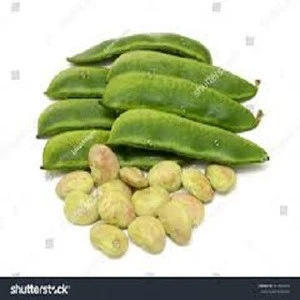 dried lima beans