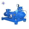 Dry Oil Oilless Variable Pitch Type Small Free Screw Vacuum Pump