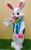 Import Easter Bunny Rabbit Adult Size Fancy Dress Halloween Custom Mascot Costume from China