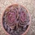 Import Echeveria Queen Flower Medium Single Succulents Artificial Plants , Assorted Colors Variety from China