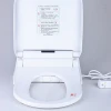 Electric Intelligent heated wash bidet toilet seat