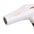 Import ENZO Promotional Custom Hair Dryer Motor AC Motor Hair Dryer Blower Hair Processor And Dryer from China