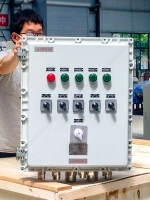 Exd IIB T6 Gb | Customize Carbon Steel Explosion Proof and weatherproof Electrical Control Cabinet with Cable Gland